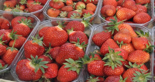 Fraise
