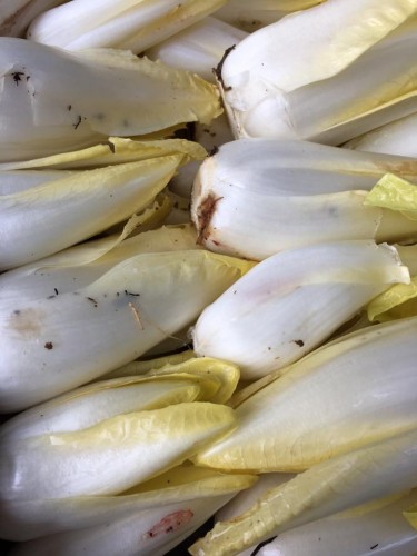Endives