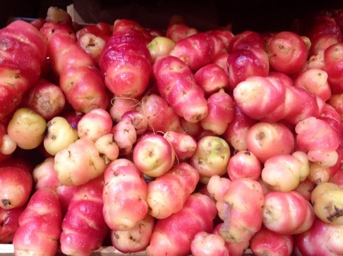 Oca du Pérou